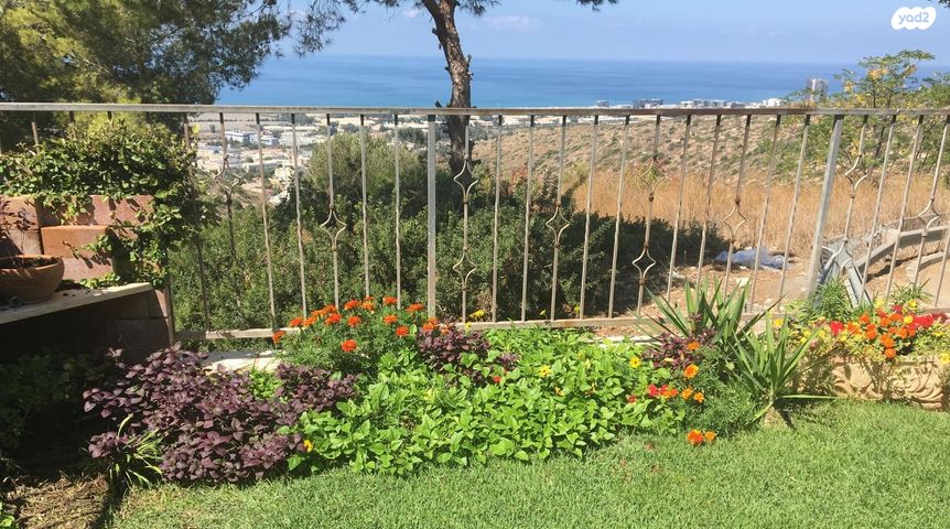 הוד הכרמל, דניה