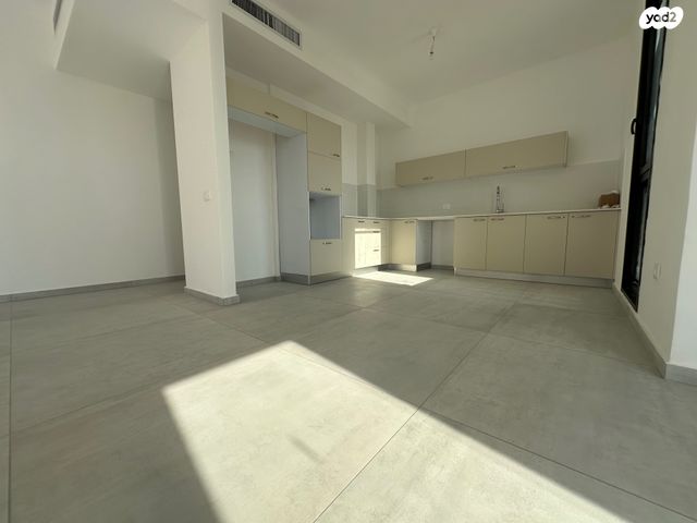 גג/ פנטהאוז, בני אמדורסקי, נווה זמר, רעננה