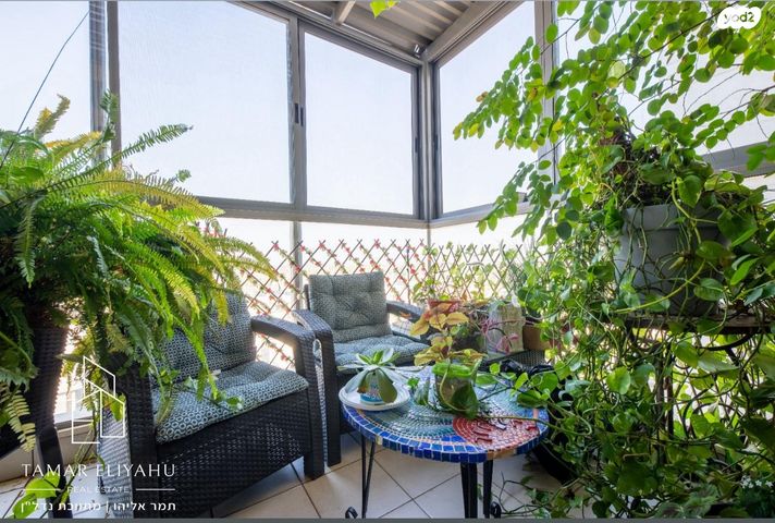 דירה, המפרש, יבנה