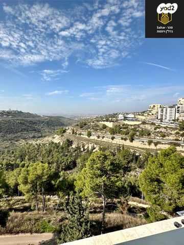 גג/ פנטהאוז, אלפי מנשה