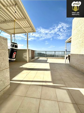 גג/ פנטהאוז, אלפי מנשה