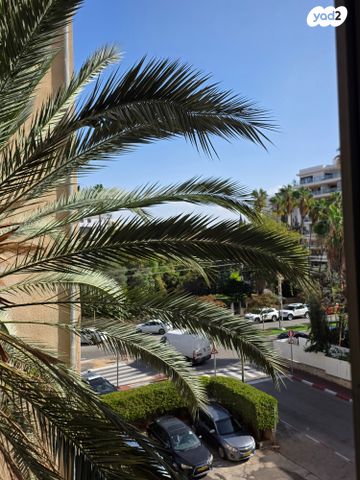 דירה, הרב בר שאול, רחובות