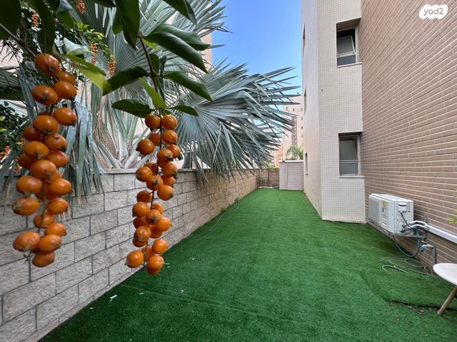 דירת גן, חסידה, כפר סבא הצעירה, כפר סבא