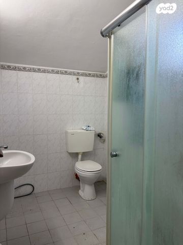 יחידת דיור, הנרקיס, שלמה, חדרה