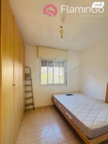 העיר התחתית, ואדי סאליב