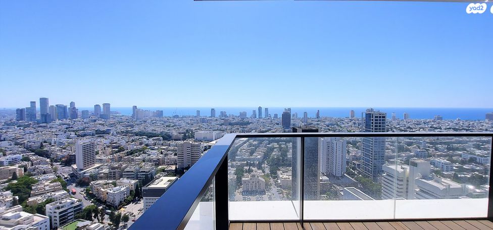 ליאונרדו דה וינצ'י 