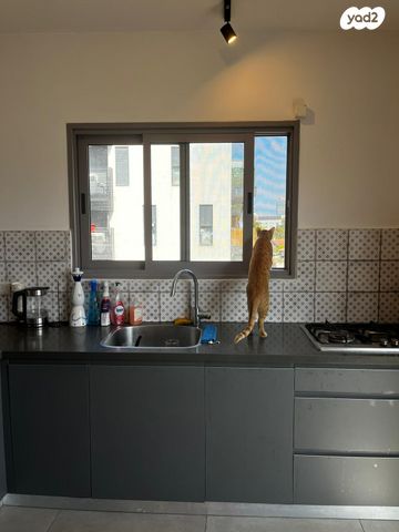 דירה, הגדוד העברי, נווה שאנן, תל אביב יפו