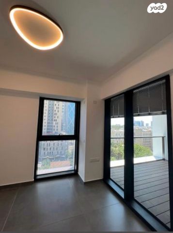 ליאונרדו דה וינצ'י 