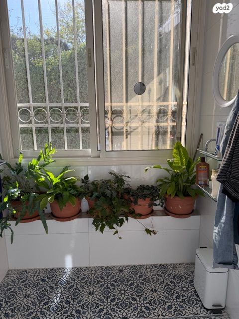 דירה, עין רוגל, גבעת חנניה, אבו תור, ירושלים