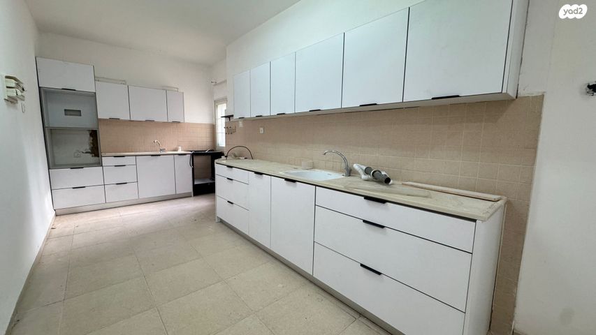 יהושע חנקין 54