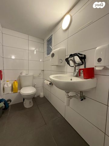 מנדלי מוכר ספרים 