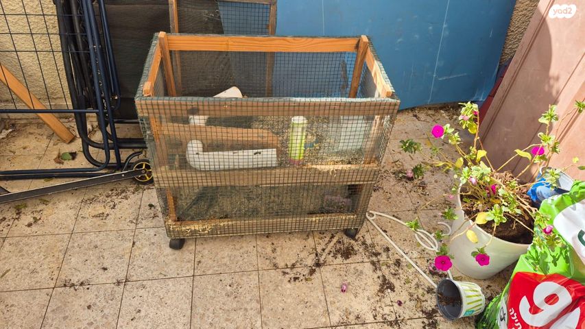 תמונת מודעה - חיות מחמד