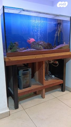 תמונת מודעה - חיות מחמד