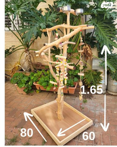 תמונת מודעה - חיות מחמד