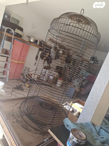 תמונת מודעה - חיות מחמד