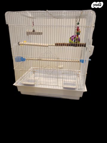 תמונת מודעה - חיות מחמד