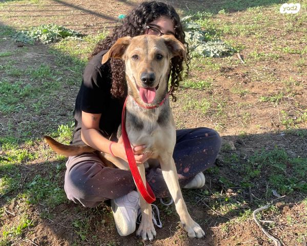 תמונת מודעה - חיות מחמד