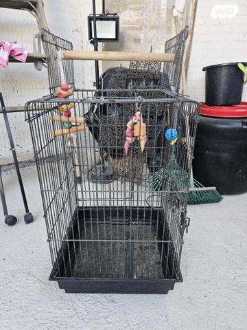 תמונת מודעה - חיות מחמד