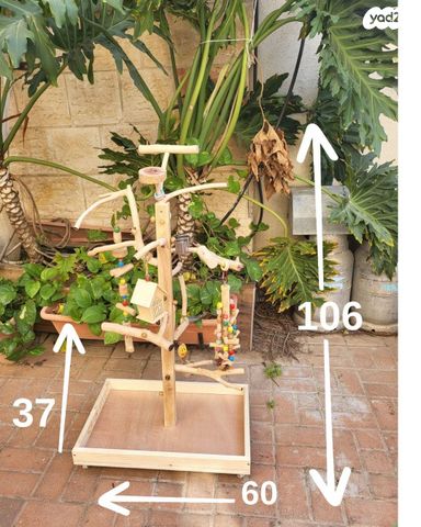 אביזרים | סטנד לתוכי