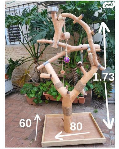 אביזרים | סטנד לתוכי