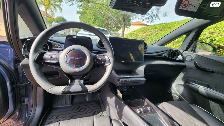 בי.ווי.די דולפין