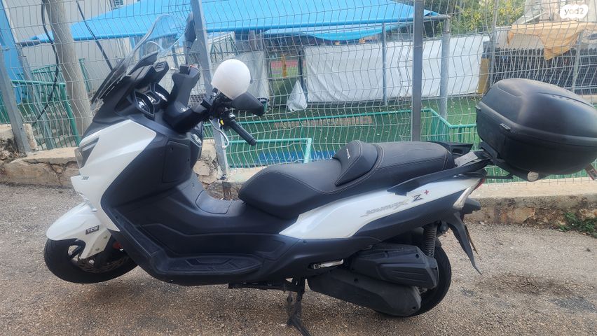 סאן יאנג ג'וי-מקס Z-300