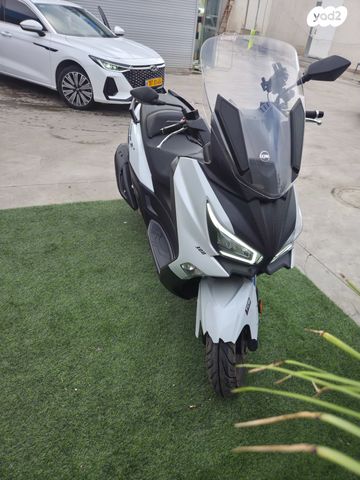 סאן יאנג ג'וי-מקס Z-300