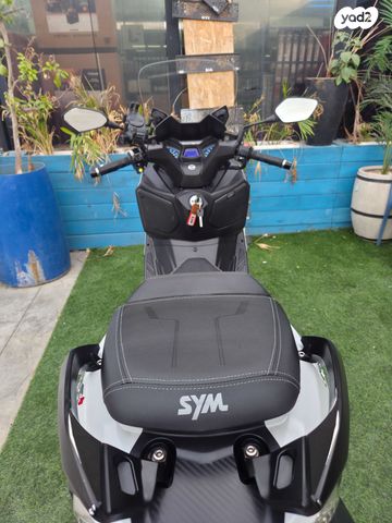 סאן יאנג ג'וי-מקס Z-300