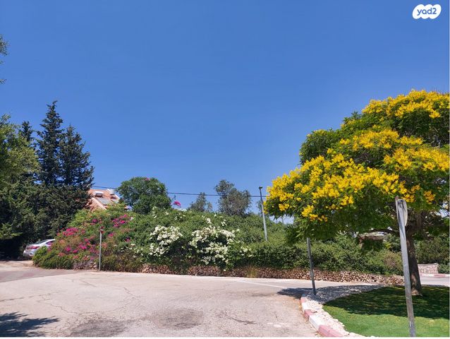 נהר הירדן 230