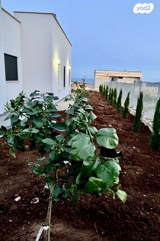 בית פרטי/ קוטג', אורן 1, מסד, מסד