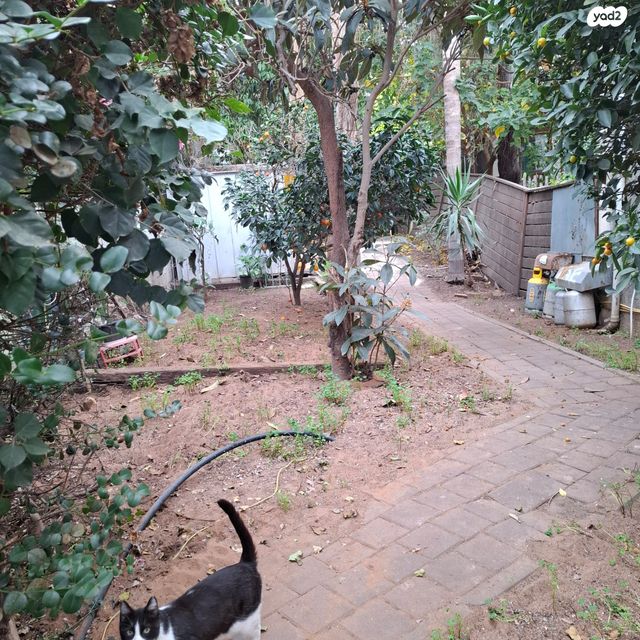 דירת גן, הפלמ"ח 18, הל"ה, גבעתיים