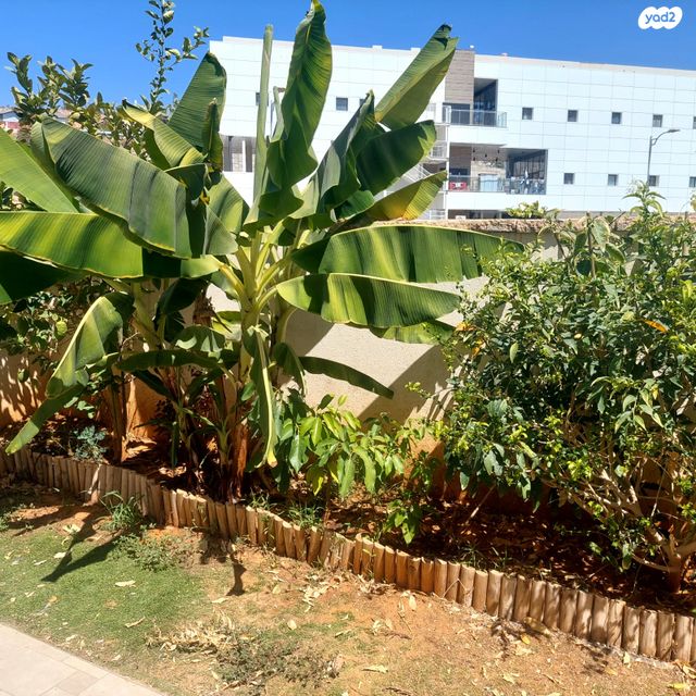 דו משפחתי, שושנים 13, אלקנה, אלקנה