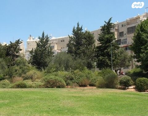 מקווה ישראל 118