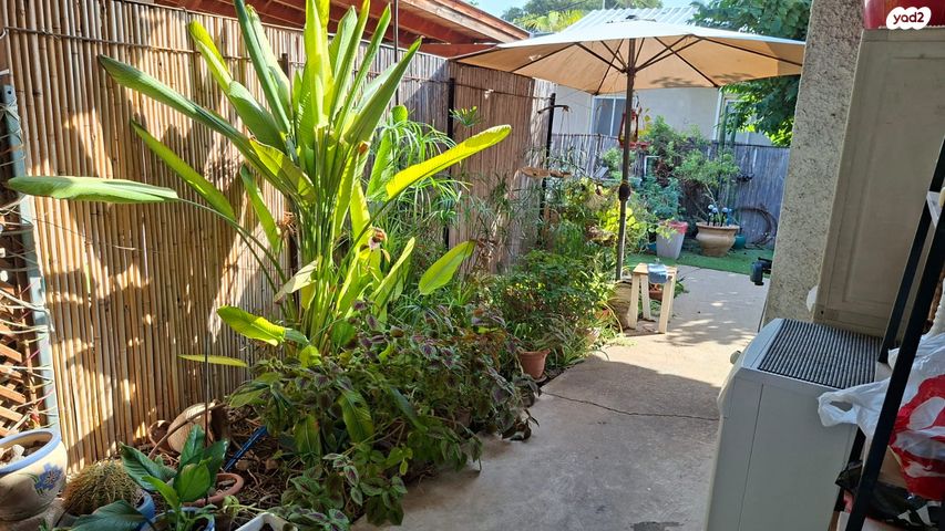 בית פרטי/ קוטג', שדרת הראשונים 1, מסדה, מסדה