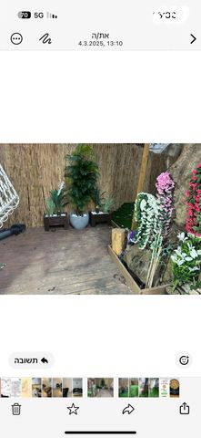 דירת גן, רבי עקיבא 35, המיימוני, חיפה