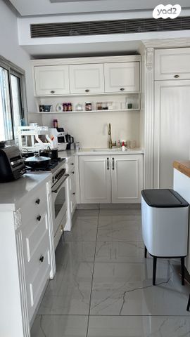 גג/ פנטהאוז, זאב אורלוב 8, לב המושבה / מרכז העיר, פתח תקווה