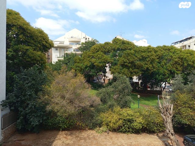 אברהם קרן 13