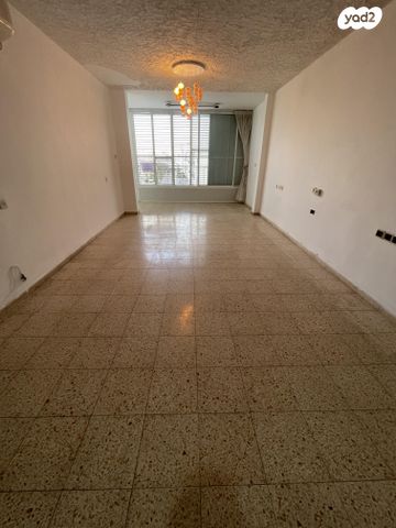 אריה שנקר 24