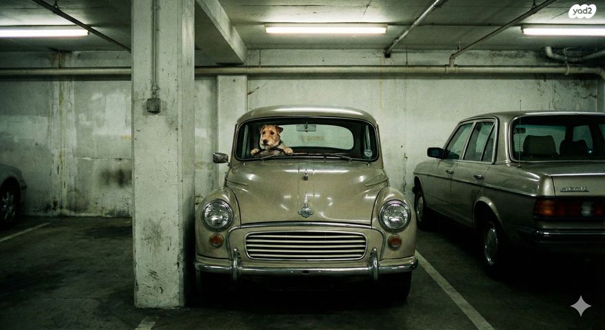 טרומפלדור 17