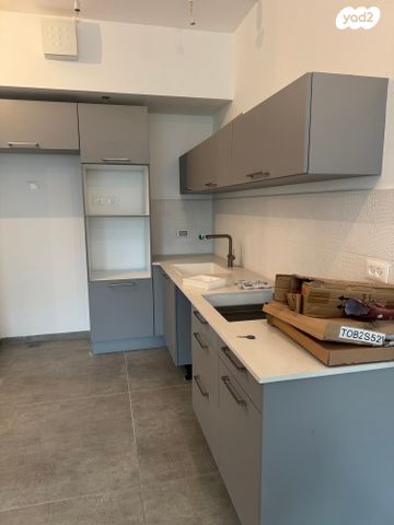 אנטיגונוס 11