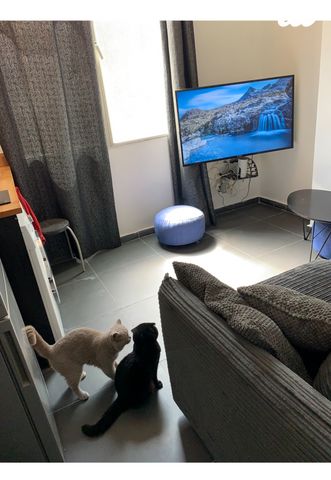 דירה, בנבנישתי 12, פלורנטין, תל אביב יפו