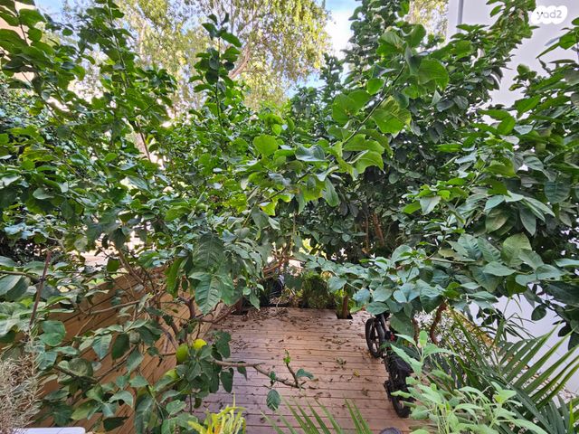 דירה, שלמה המלך 67, הצפון הישן - דרום, תל אביב יפו