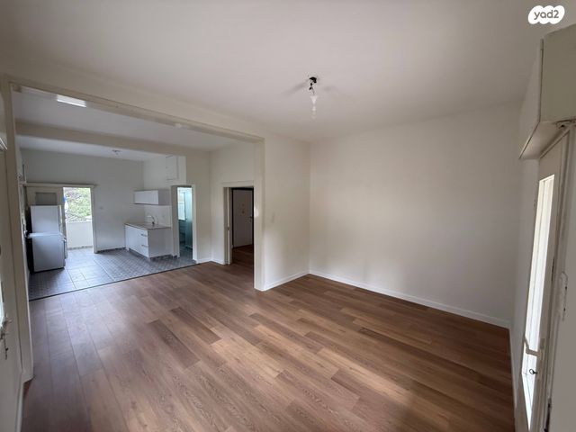 דוד פינסקי 29