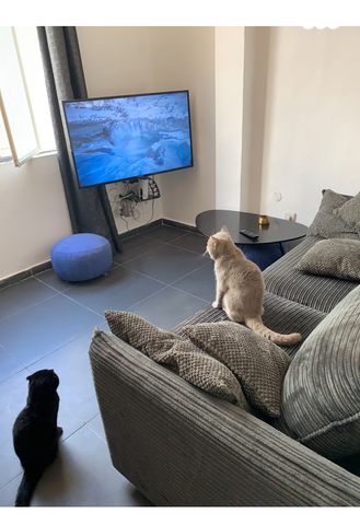 דירה, בנבנישתי 12, פלורנטין, תל אביב יפו