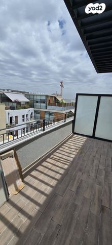 מיכלאנג'לו 15