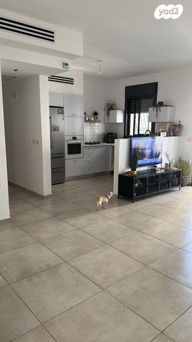 יעקב תמרי 15