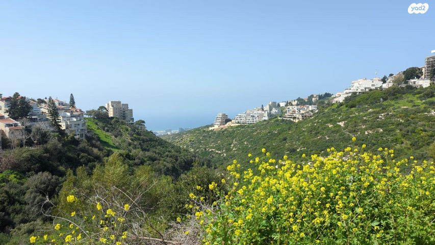 דירה, דרך פרויד 10, רמת אשכול, חיפה