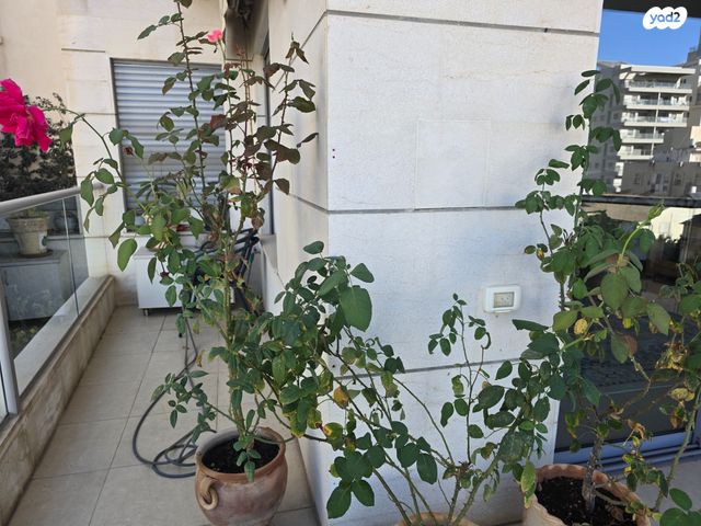 דירה, חורגין, תל יהודה, רמת גן