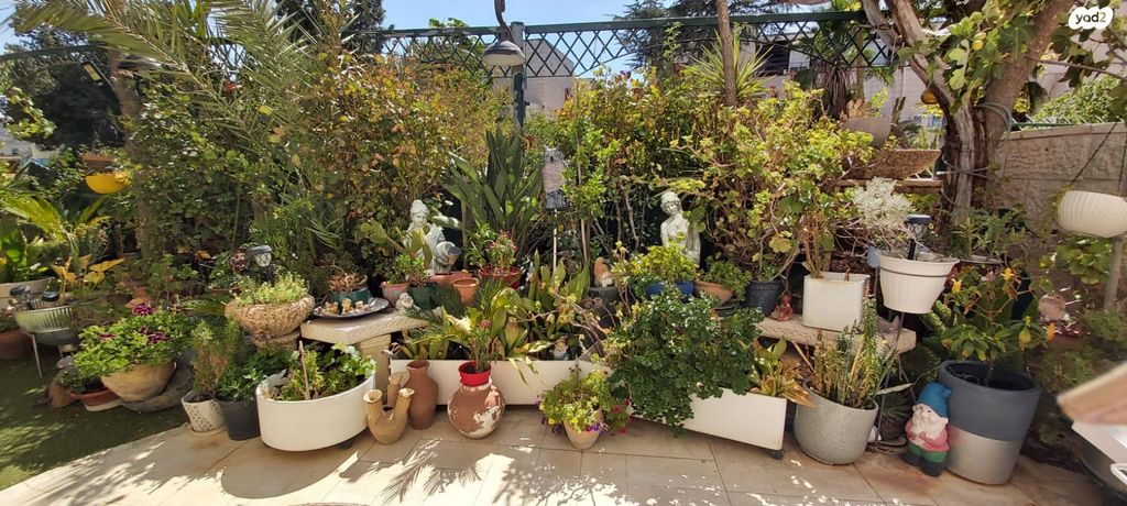 רינה ניקובה 