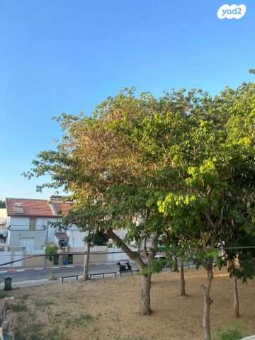 דירה, נטעים, התקוה, בית יעקב, נווה צה"ל, תל אביב יפו